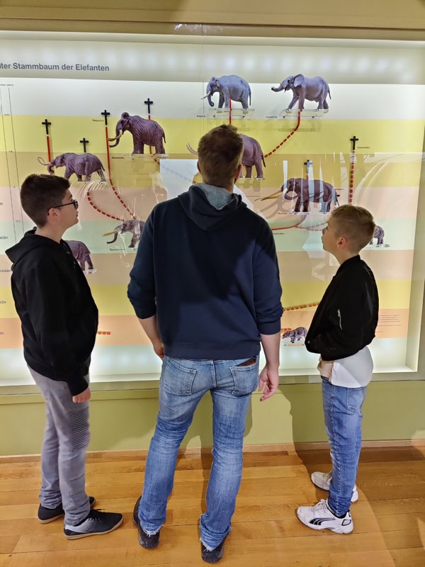 Naturhistorisches-Museum Basel
