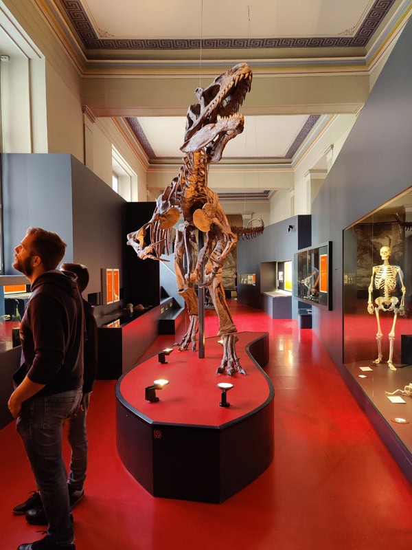 Naturhistorisches-Museum Basel