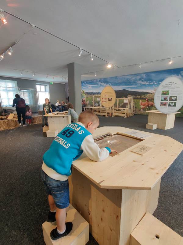 Naturmuseum Luzern