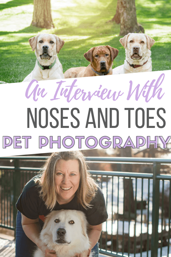 an interview with angela of noses and toes pet photography an interview with angela of noses and toes pet photography