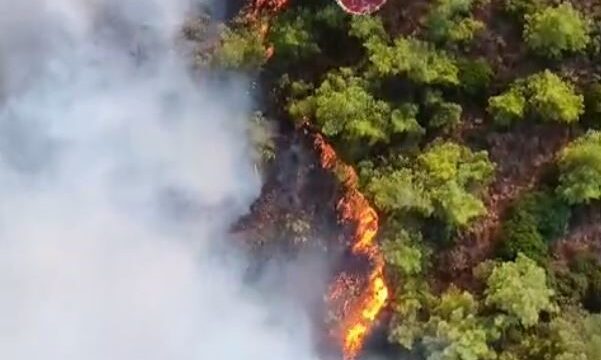 MUĞLA'NIN MARMARİS İLÇESİNDE BULUNAN VE KARA ULAŞIMININ ZOR OLDUĞU KABAKARGI KOYU'NDAKİ ORMANLIK ALANDA ÇIKAN YANGINA 23 HAVA UNSURU İLE MÜDAHALE EDİLİYOR.