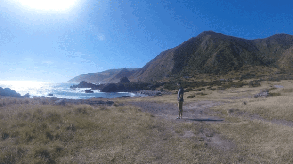 Watching the seal at Cape Palliser
