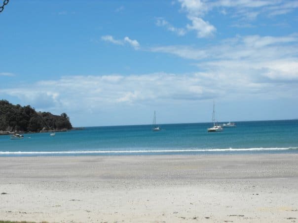 waiheke beach Going NZ
