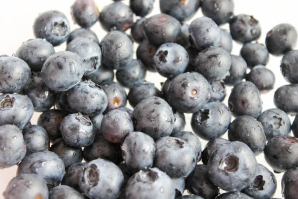 The Salted Cookie OXO Quinoa Blueberry Banana Grape Breakfast Bowl