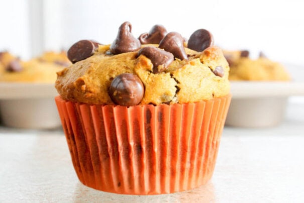 browned-butter-pumpkin-chocolate-chip-muffins