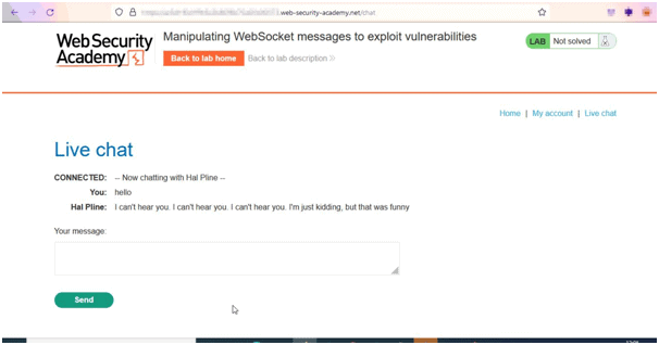 In the live chat page, enter the message