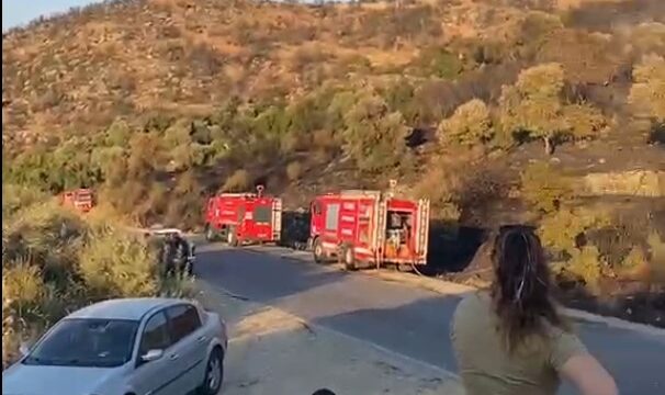 AYDIN'IN SÖKE İLÇESİNDE ORMANLIK ALANDA ÇIKAN YANGIN EKİPLERİN YOĞUN UĞRAŞLARI SONUCU KONTROL ALTINA ALINDI.