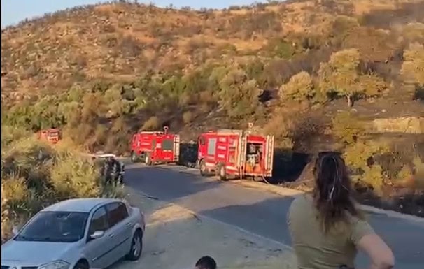 AYDIN'IN SÖKE İLÇESİNDE ORMANLIK ALANDA ÇIKAN YANGIN EKİPLERİN YOĞUN UĞRAŞLARI SONUCU KONTROL ALTINA ALINDI.