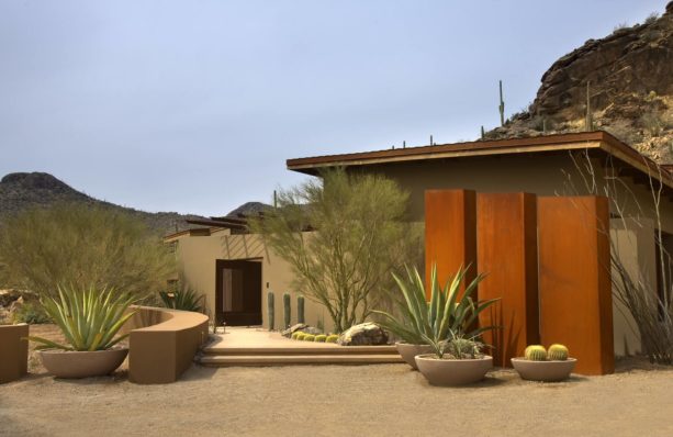 curvy desert-like backyard landscape idea in feminine look