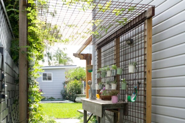 transitional side yard landscaping idea with the potting station