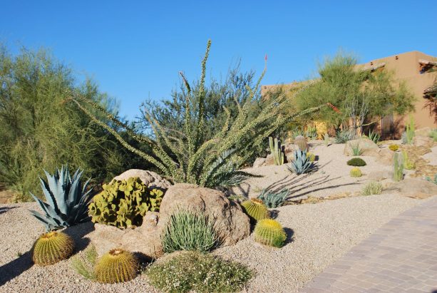 low maintenance landscaping with boulders mixed with plants and crushed rock ground cover