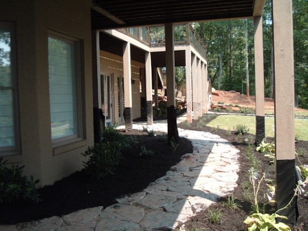 eclectic landscaping with a stone path surrounded by plants