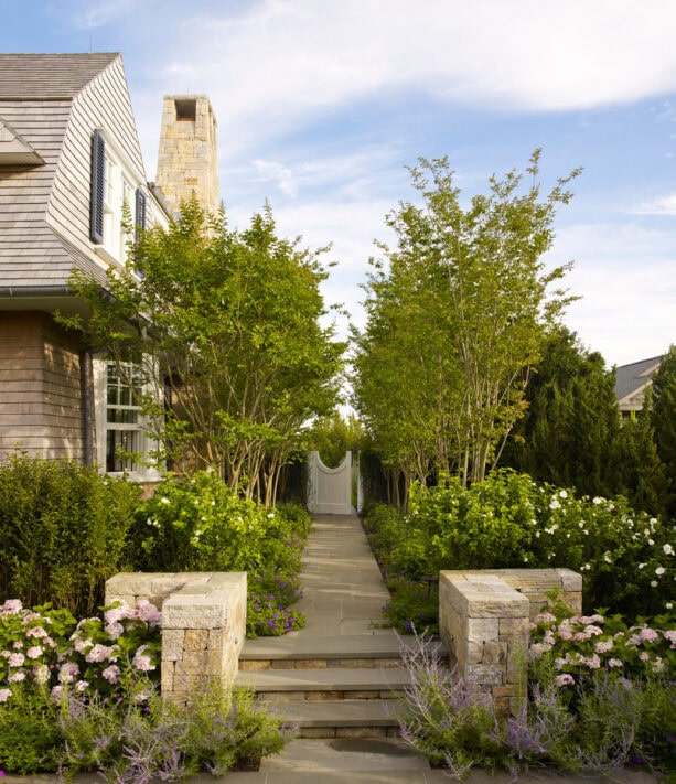 planting narrow trees to create allee in a tight side yard landscaping