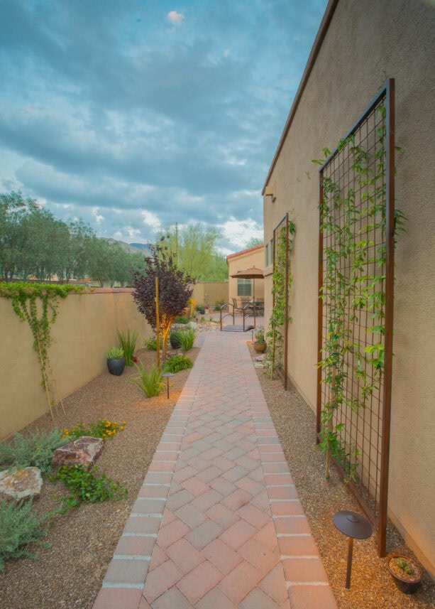 using trellises in a side yard landscaping for a vertical garden