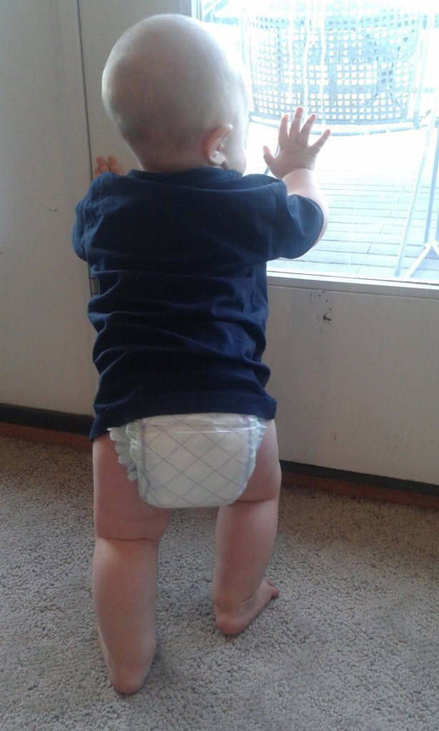 This guy rather enjoys standing up these days...