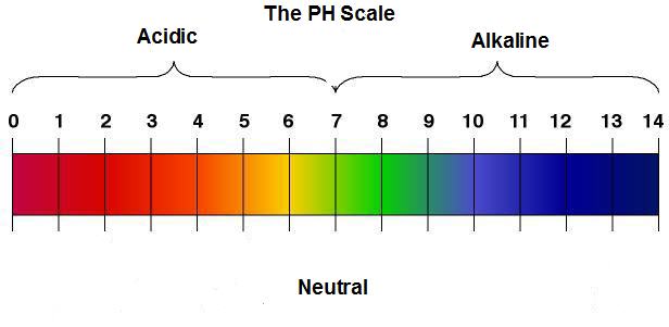 PH-Scale for healthier hair in dubai