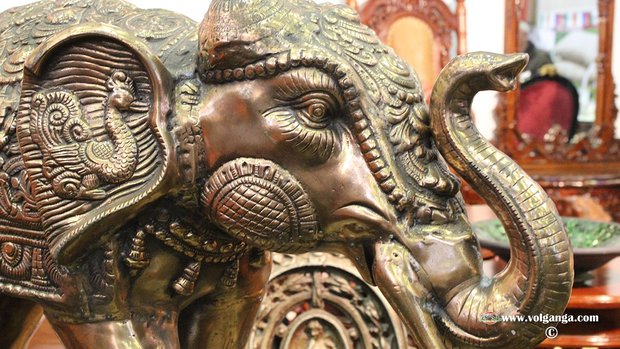 Indian Fair in Yaroslavl (2015). Elephants