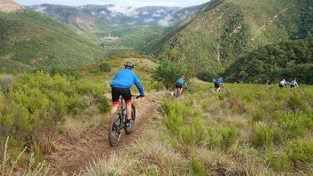 Cross-country mountain bikers head down a valley trail