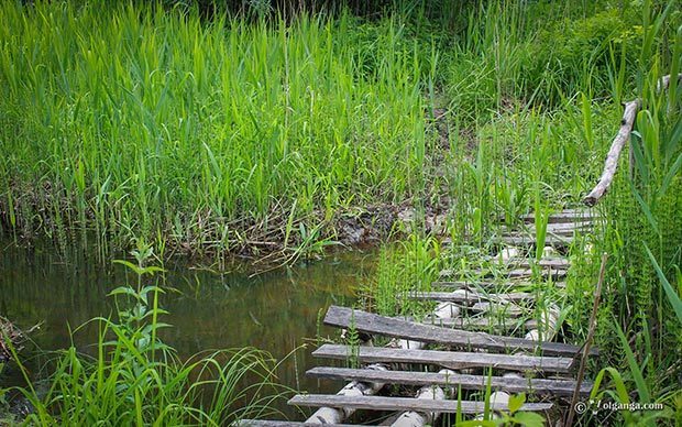 Generous Russian Nature HD wallpapers. wooden bridge over the forest brook