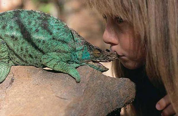 Little Tippi Degré and a chameleon