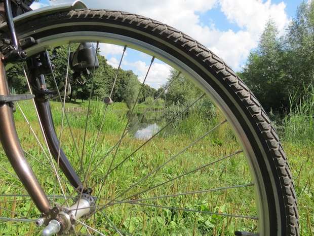 Closeup of a bike's tire in a grassy meadow