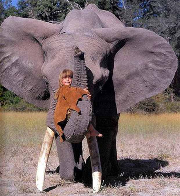 Tippi Degré and the elephant Abu