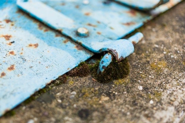 The Drainage Chain Reaction: How Small Exterior Failures Trigger Whole-Home Damage in Humid Climates