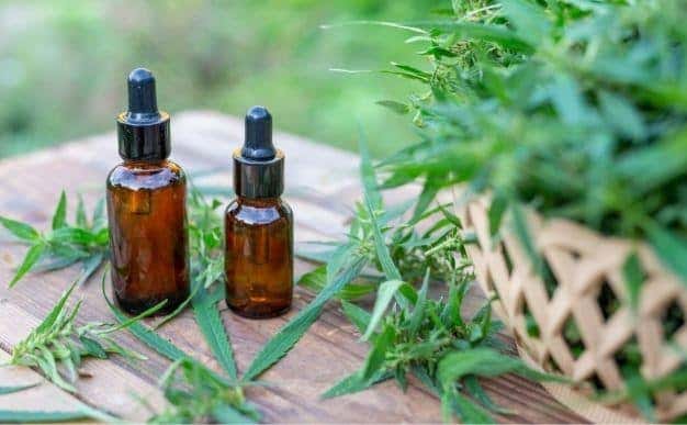 What is CBD oil?