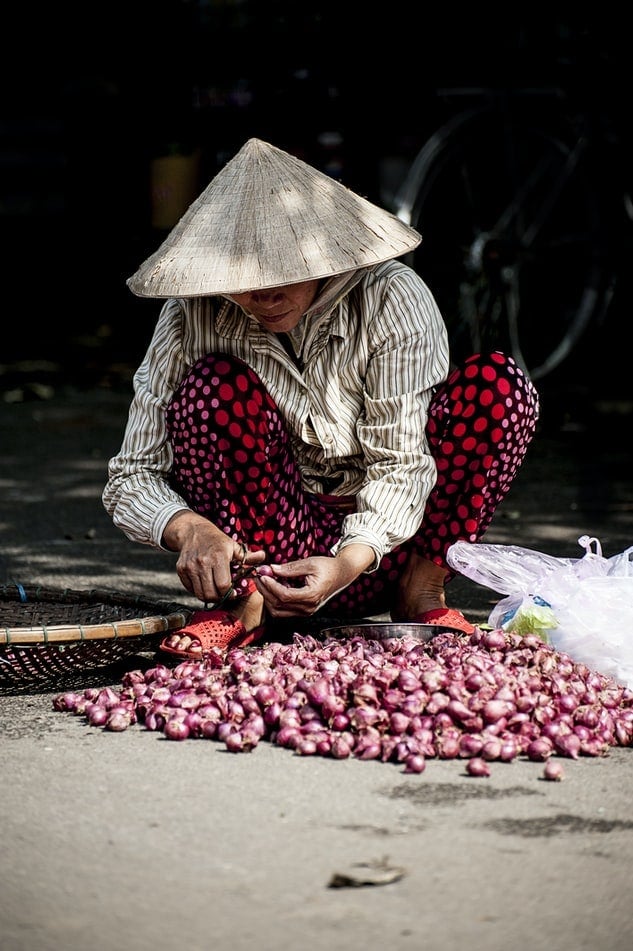 Vietnamese lady 1