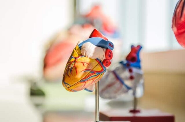 magnesium heart health