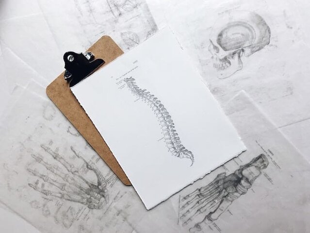 magnesium bone health