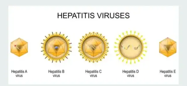 Hepatitis b vaccine