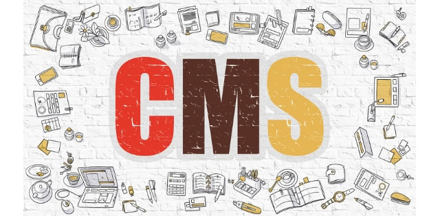 SEO - CMS