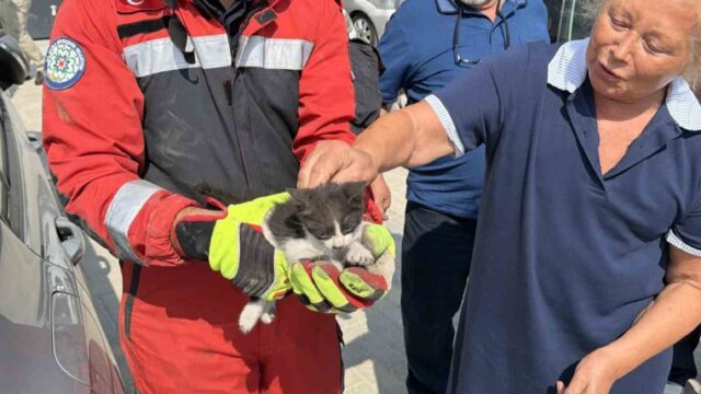 MUĞLA’NIN MENTEŞE İLÇESİNDE OTOMOBİLİN MOTOR GİREN VE SIKIŞAN KEDİ, İTFAİYE EKİPLERİNİN MÜDAHALESİYLE SIKIŞTIĞI YERDEN ÇIKARILARAK SAHİBİNE TESLİM EDİLDİ.