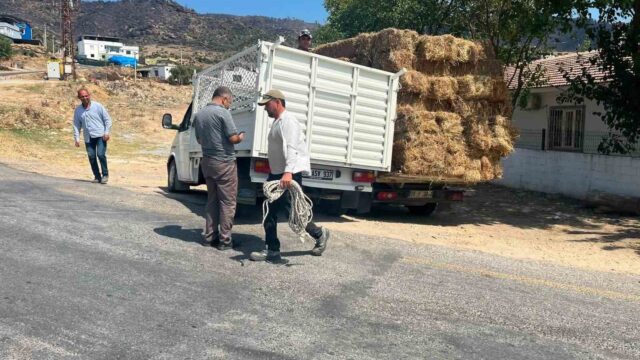 AYDIN’IN YENİPAZAR İLÇESİNDE KARACAÖREN MAHALLESİ SAKİNLERİ, ÇİNE’DEKİ ORMAN YANGININDAN ETKİLENEN VE BÜYÜK BÖLÜMÜ HAYVANCILIKLA GEÇİNEN MUTAFLAR MAHALLESİ’NDEKİ ÜRETİCİLERE KABA YEM DESTEĞİNDE BULUNDU.