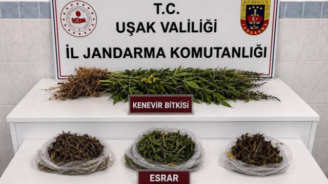 UŞAK’IN SİVASLI VE BANAZ İLÇELERİNDE JANDARMA EKİPLERİNCE DÜZENLENEN OPERASYONLARDA ÇOK SAYIDA KAÇAK MAKARON, TÜTÜN VE UYUŞTURUCU MADDE ELE GEÇİRİLDİ.