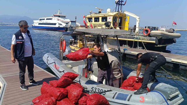 EL KONULAN 560 KİLOGRAM KARA MİDYENİN CANLI OLDUĞU TESPİT EDİLEREK, DOĞAL YAŞAM ALANLARINA KAZANDIRILMASI AMACIYLA GÖREVLİLERCE TEKRAR DENİZE DENİZE İADE EDİLDİ.