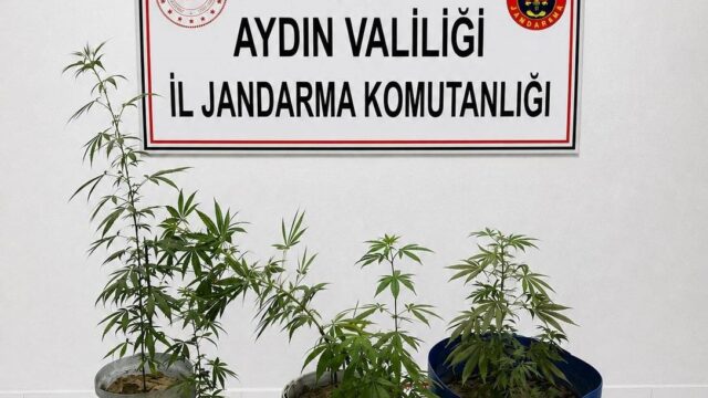 AYDIN’IN KUŞADASI İLÇESİNDE JANDARMA EKİPLERİNİN DÜZENLEDİĞİ UYUŞTURUCU OPERASYONUNDA 6 KÖK EKİLİ SKUNK BİTKİSİ, BONG APARATI VE ZIVANALI SARMA KAĞITLARI ELE GEÇİRİLİRKEN, OPERASYONDA 3 ŞÜPHELİ GÖZALTINA ALINDI.