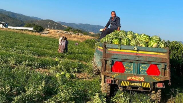 MANİSA'NIN SARIGÖL İLÇESİNDE ÇİFTÇİLİK YAPAN ZAFER GENÇELİ, TARLASINDA YETİŞTİRDİĞİ KAVUN VE KARPUZLARI ARACI KULLANMADAN PAZARDA DOĞRUDAN TÜKETİCİYE SATARAK BÜTÇESİNE KATKI SAĞLIYOR.
