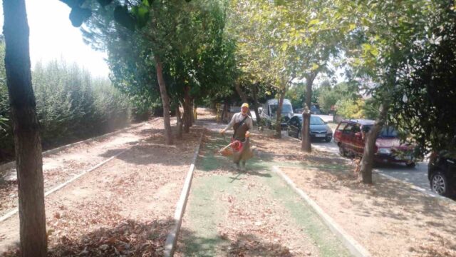 KÖŞK BELEDİYESİ TEMİZLİK İŞLERİ EKİPLERİ, İLÇE GENELİNDEKİ PARK, BAHÇE VE YEŞİL ALANLARDA OT BİÇME, TEMİZLİK VE ÇEVRE DÜZENLEME ÇALIŞMALARINI SÜRDÜRÜYOR.