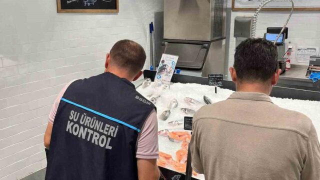 AYDIN'IN DİDİM İLÇESİNDE PERAKENDE SU ÜRÜNLERİ SATIŞI YAPAN İŞLETMELER, İLÇE TARIM EKİPLERİ TARAFINDAN DENETLENİRKEN, İŞLETMELERE İLGİLİ TEBLİĞ KAPSAMINDA BİLGİLENDİRME YAPILDI.