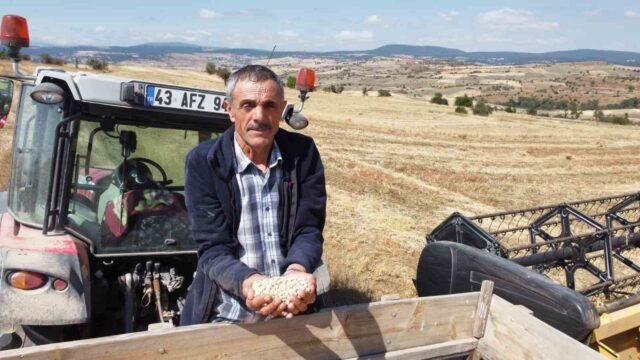 DENİZLİ’DE GELİŞTİRİLEN BORSA-20 NOHUT ÇEŞİDİNİN TOHUMLARININ EKİLDİĞİ KÜTAHYA’NIN SEYİTÖMER İLÇESİ MAHMUDİYE KÖYÜNDE 17 DEKAR ARAZİDE HASAT GERÇEKLEŞTİRİLDİ. HASAT SÜRECİNİ YERİNDE TAKİP EDİLEN BORSA-20’NİN TARLADAKİ GELİŞİMİNİ VE PERFORMANSINI YAKINDAN GÖZLEMLEDİ.
