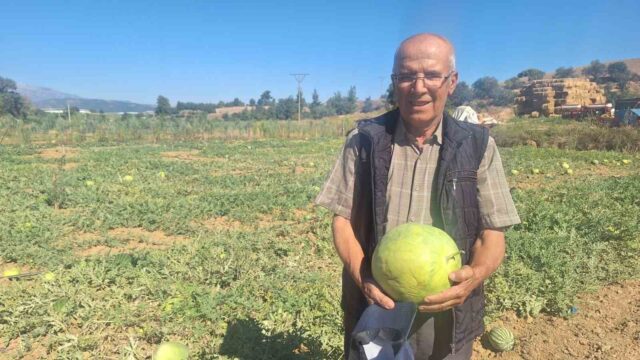 MANİSA'NIN SARIGÖL İLÇESİNDE ÇİFTÇİLİK YAPAN HASAN HÜSEYİN CERİT, YILLARDIR DEDELERİNDEN MİRAS KALAN ATA TOHUMU KARPUZLARI TOPRAKLA BULUŞTURMAYA DEVAM EDİYOR.
