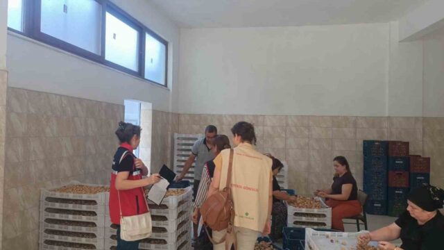 AYDIN'IN ÖNEMLİ TARIMSAL ÜRÜNLERİNDEN OLAN VE AVRUPA BİRLİĞİ TARAFINDAN TESCİLLİ COĞRAFİ İŞARETE SAHİP AYDIN İNCİRİNİN KALİTESİNİN VE GÜVENİLİRLİĞİNİN KORUNMASI AMACIYLA BOZDOĞAN'DA SAHA DENETİMLERİ GERÇEKLEŞTİRİLİYOR.