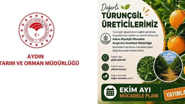 AYDIN İL TARIM VE ORMAN MÜDÜRLÜĞÜ, TURUNÇGİL ÜRETİCİLERİNİ EKİM AYINDA BAHÇELERİNDE GERÇEKLEŞTİRMELERİ GEREKEN KÜLTÜREL VE BİYOLOJİK MÜCADELE UYGULAMALARINA KARŞI UYARDI.
