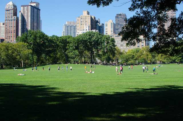 Central Park 14 Sheep Meadow Central Park