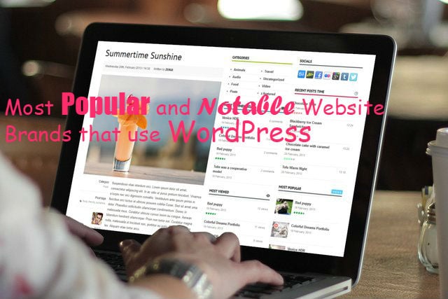 Websites that use WordPress