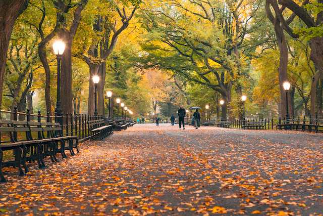 Central Park 13 The Mall