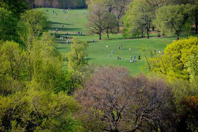 Prospect Park Brooklyn 8 Prospect Park