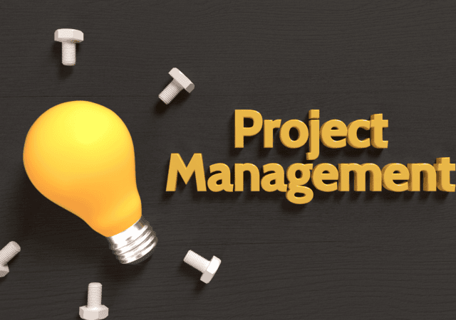 Project Manager